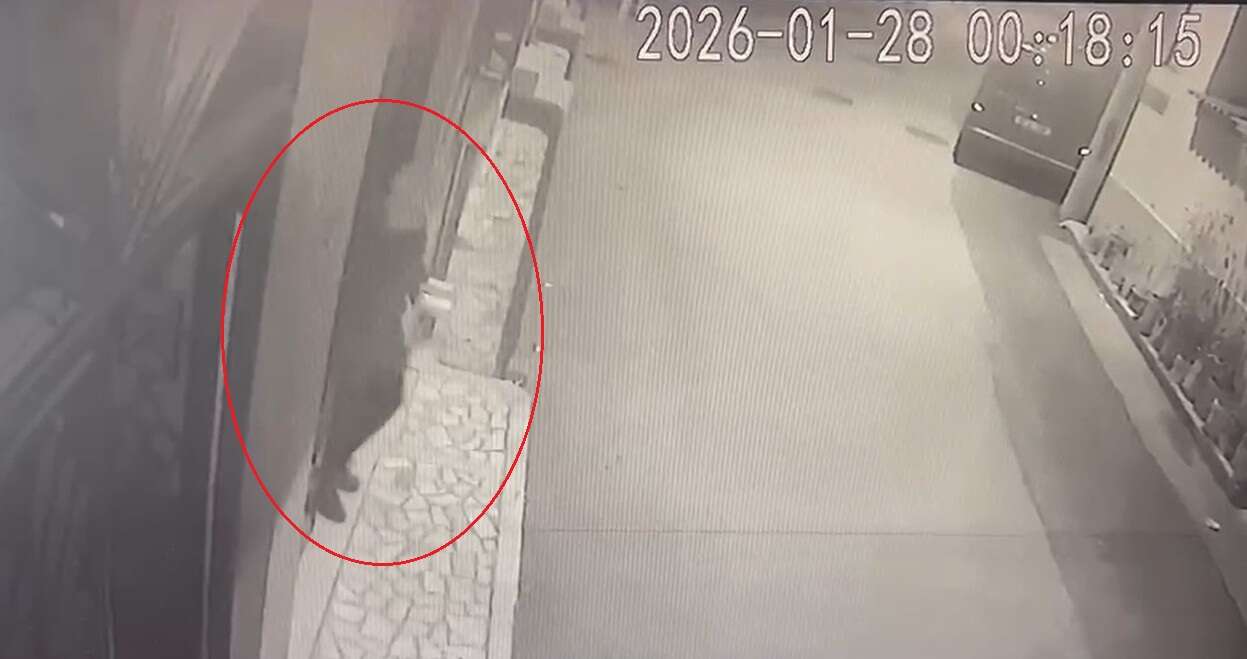 Emekli polis memuru eşini öldüren kadın, 15 parçaya ayırmış 11